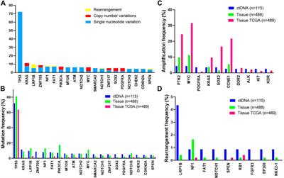 Hybrid Capture-based Genomic Profiling of Circulating Tumor DNA From Patients With Advanced Ovarian Cancer